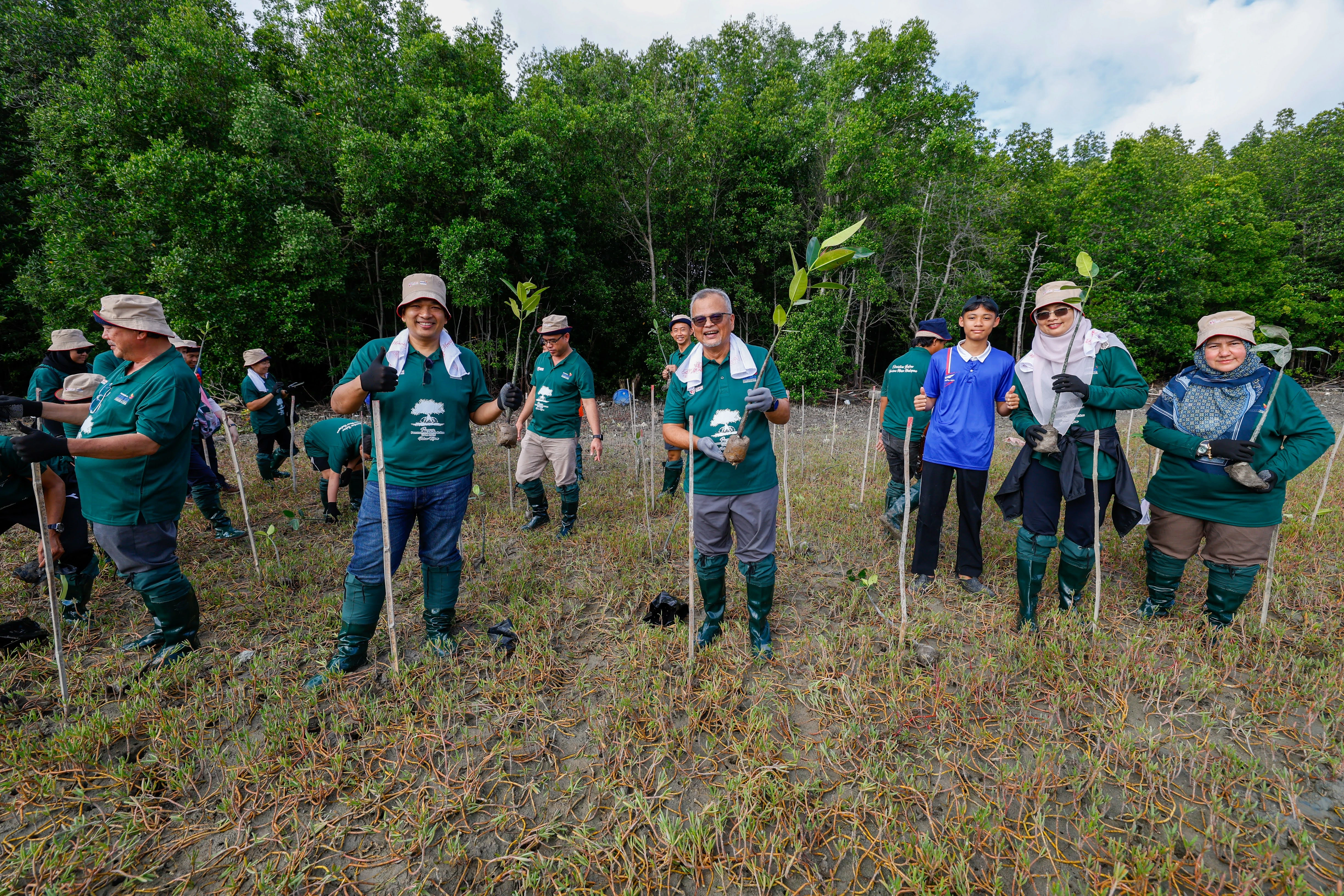 C4C Afxupm Mangrove 2